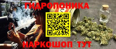 jwh Сланцы